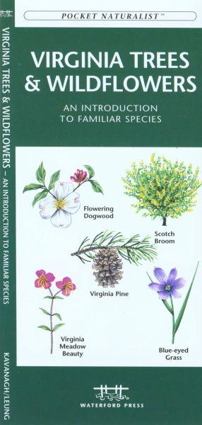 Virginia Trees Amp; Wildflowers Book