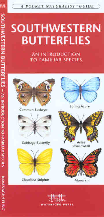 Wfp1583553244 Southwestern Butterflies Book