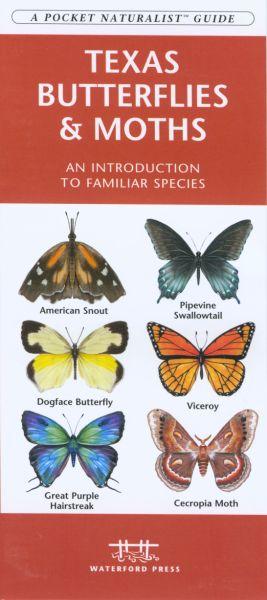 Wfp1583553688 Texas Butterflies And Moths Book