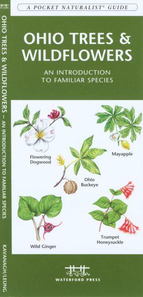 Wfp1583554159 Ohio Trees And Wildflowers Book