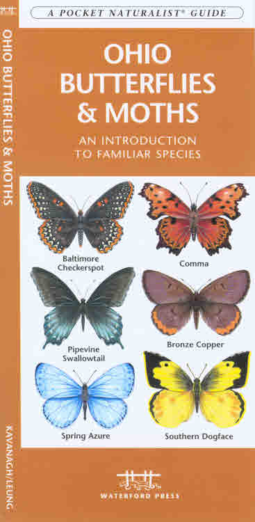 Wfp1583554319 Ohio Butterflies And Moths Book