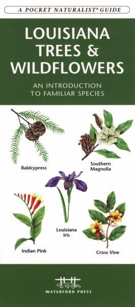 Louisiana Trees Amp; Wildflowers Book