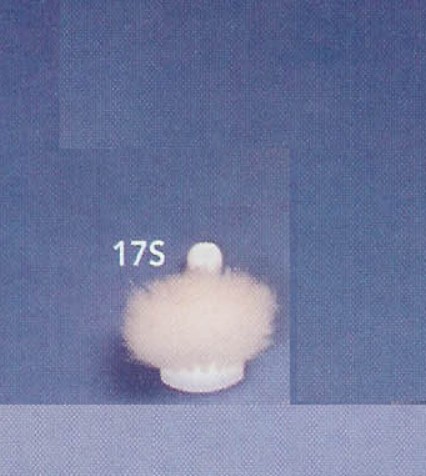 8 Inch Utility Scrub Nylon Brush White 17S