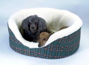 Essential Pet Products Sn-70207 Pet Couch- Medium- Denim