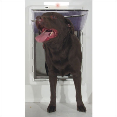 Ideal Pet Products AWPSL Super Large All Weather Door with Protector Alarm Slide