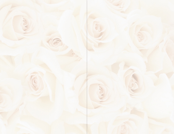 Masterpiece Studios 909052 Blush Roses 2 Up Invitation No Envelope Pack of 25