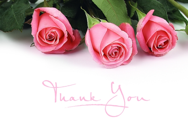 Masterpiece Studios 10679 Pink Rose Petals Thank You Pack of 24 Cards 24 Envelopes