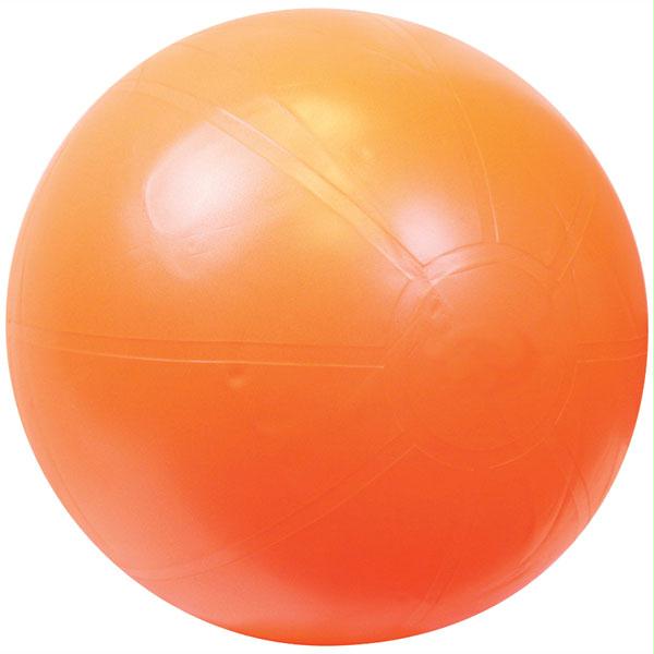Gofit GF-55BRBALL 55cm Ultimate Core Stability Ball with DVD