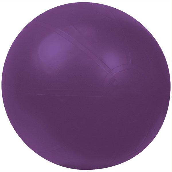 Gofit GF-65BRBALL 65cm Stability Ball with Training DVD