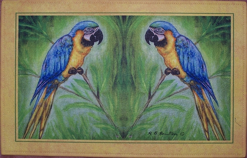 Dm032 Blue Macaw Door Mat 18"x26"