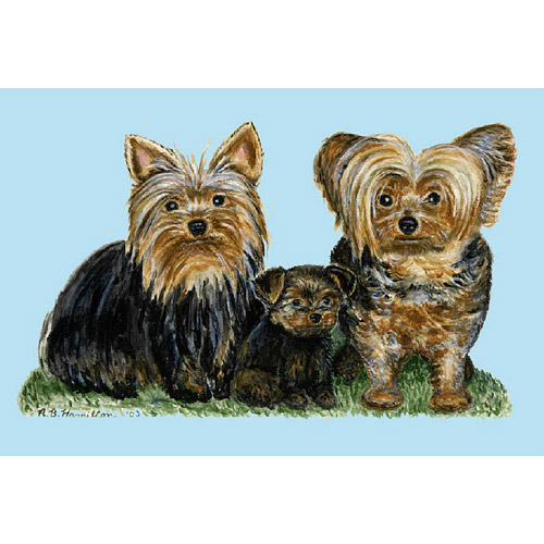 Dm068 Yorkies Door Mat 18"x26"