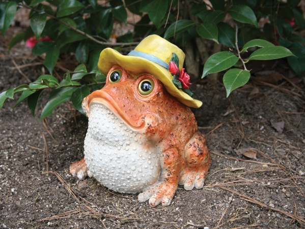 Michael Carr Designs MCD70106O Sunrise Frog Yard Decor  Orange
