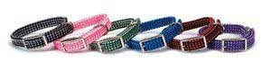 Coastal Pet Products DCP752110GNL Sunburst Nylon Weave Collar