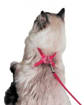 Coastal Pet Products CCP7348PKF Cat Adjustable Figure and quot;8 and quot; Harness - Pink Flamingo