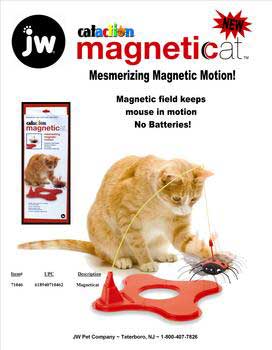 JW Pet Company CJW71046 Cataction Magneticat Toy