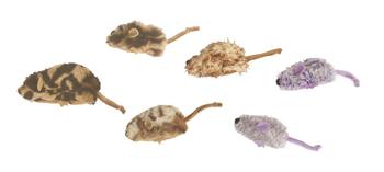 Kong Company CKO71111 Catnip Field Mouse