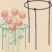 BOSMERE E675 Double 15 in. diameter Wrapround Peony Support with 36 in. Legs
