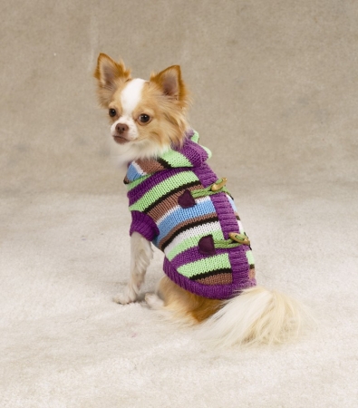 Zack apos;N Zoey 13638 Stripe Toggle Hoodie Dog Sweater Medium