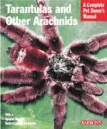 Barronapos;s Publishing SBR1463 Tarantulas And Arachnids