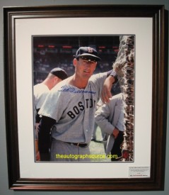 Powers Collectibles 290-b Williams Ted 16x20 -Boston Red Sox-