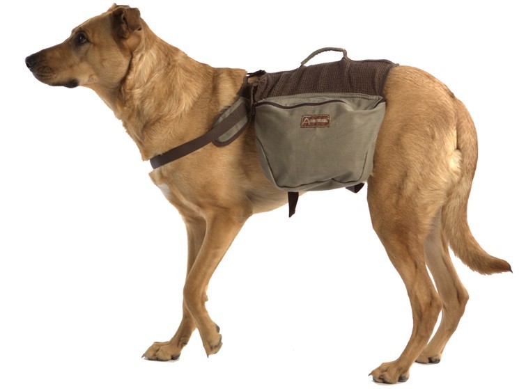 dddsd533027 Small Dog Backpacks