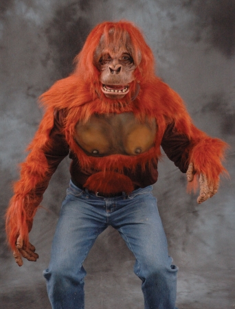 C1008 Orangutan Shirt