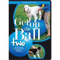Ball Dynamics DVD-GETON2 Get on the Ball Two DVD by Debbie Gross Saunders