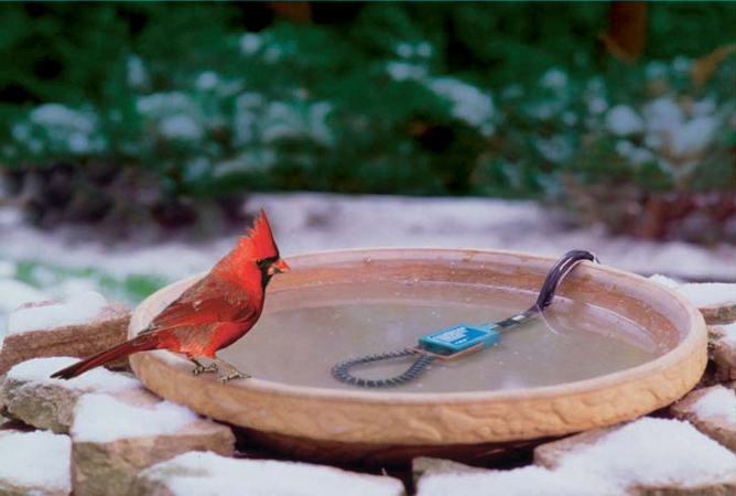 GulfStream Bird Bath Heater