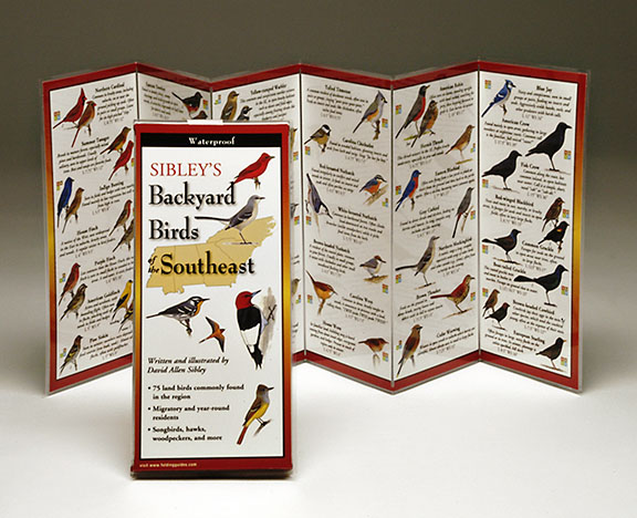 Sibleyapos;s Backyard Birds Florida Book