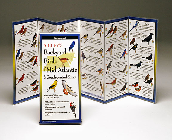 Sibleyapos;s Backyard Birds Mid-atlantic South Central States Book