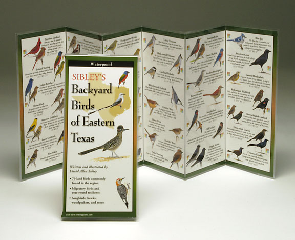 Sibleyapos;s Backyard Birds Eastern Texas Book