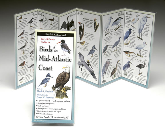Steven M. Lewers & Associates Lewersbma143 Folding Guide Birds Mid Atlantic Coast