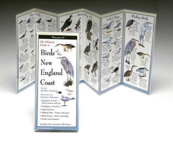 Steven M. Lewers & Associates Lewersbne154 Folding Guide Birds New England Coast