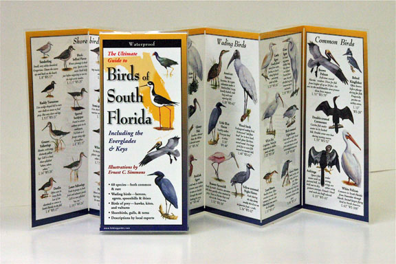 Steven M. Lewers & Associates Lewersbsf113 0.1" L X 4" W X 9" H Birds South Florida Book