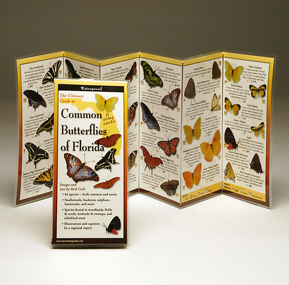 Steven M. Lewers & Associates Lewersbuf100 Common Butterflies Florida Book