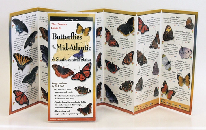 Butterflies Mid-atlantic South Central States Book
