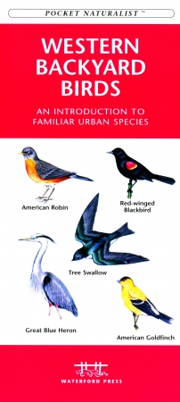 Wfp1583550892 Western Backyard Birds Book: An Introduction To Familiar Urban Species (regional Nature Guides)