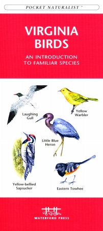 Wfp1583550991 Virginia Birds Book: An Introduction To Familiar Species (state Nature Guides)