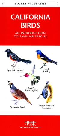 Wfp1583551011 California Birds Book: An Introduction To Familiar Species (state Nature Guides)