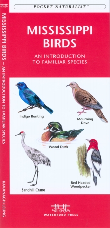 Wfp1583552278 Mississippi Birds Book: An Introduction To Familiar Species