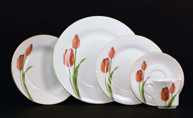 Euland China Dsfl2-001t Tulip Dinnerware Set - Service For 8