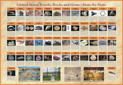 American Educational JPT-8012 United States Fossils - Gems and Rocks State By State @ ComfortMarket.com
