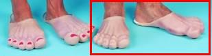 Franco American Novelty 25004 Funny Feet Male Slippers