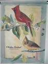 Toland Home Garden 709100 Northern Cardinal Flag 28 X 40 Inch