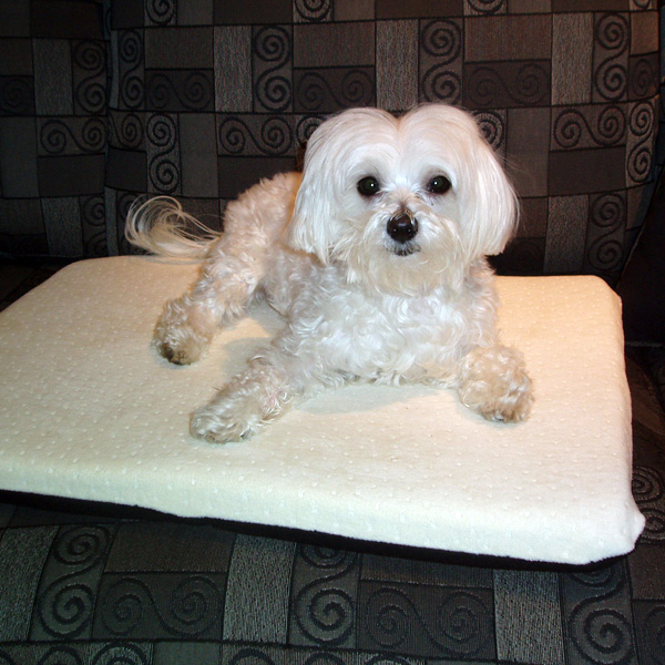 Therion PC182 Magnetic Dog Bed Medium