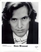 Powers Collectibles WinwoodSteve Winwood Steve 12936