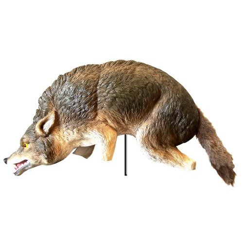 Predator 3-d Coyote Replica