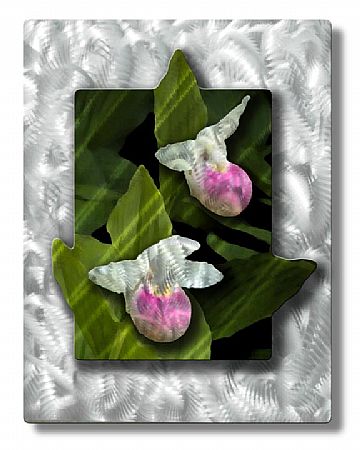 All My Walls NOR00002 Pink Lady Slipper