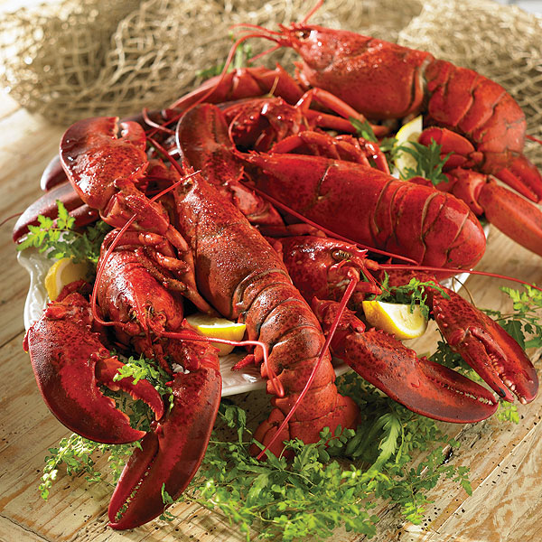 Jtl2q Just The Lobsters With 1.25 Lb Lobsters