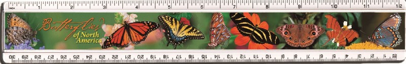 Imp87plr Plastic Ruler Butterflies